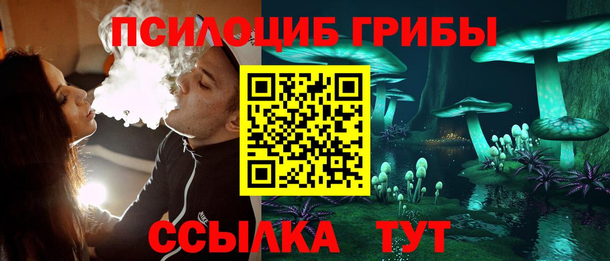 Псилоцибиновые грибы прущие грибы  Вход с VPN  купить  сайты  Мелеуз 